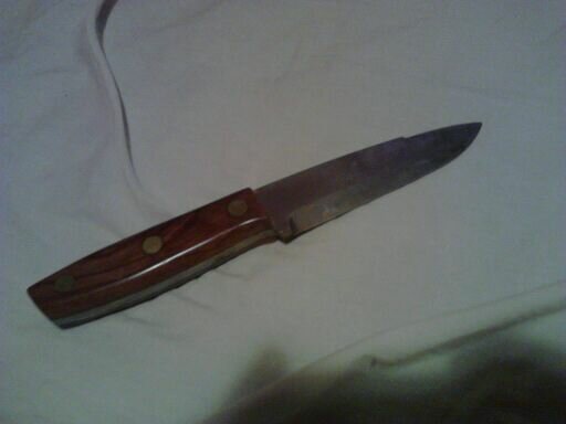 bull knife.jpg