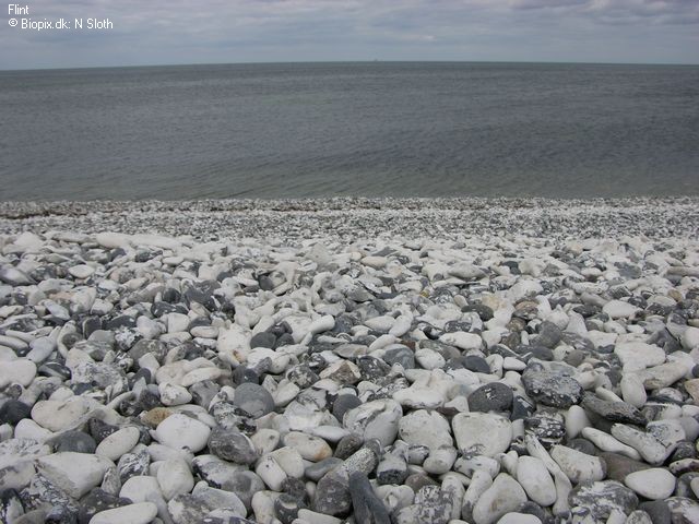 Flint Beach.jpg